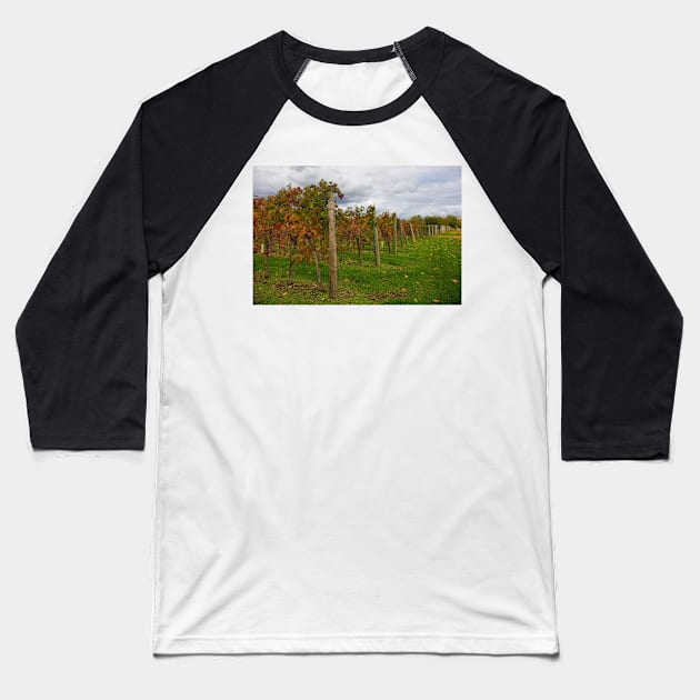 Autumn Grape Vines in North East Italy Baseball T-Shirt by jojobob